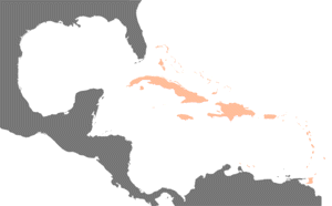 Mapa de las Antillas.