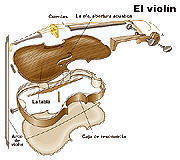 violin