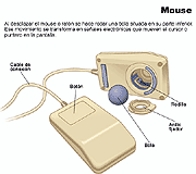 mouse