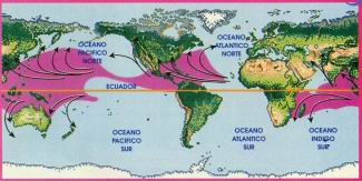 Regiones ciclognicas