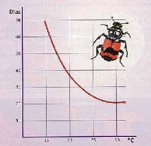 Figura 2-13 > Desarrollo de un insecto hemptero a diferentes temperaturas