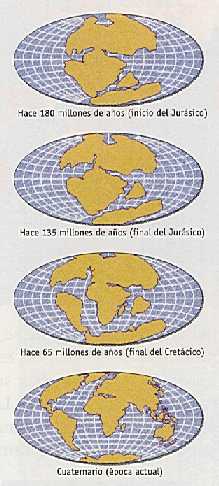 Figura 2-16> Disgregacin de los continentes