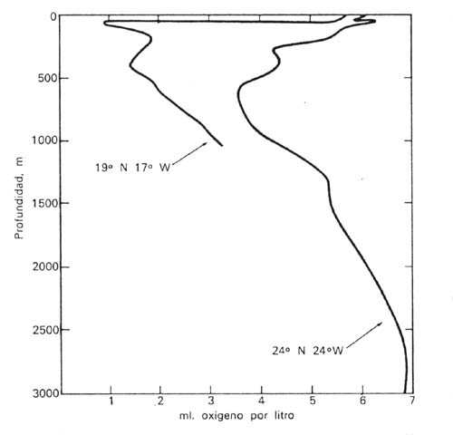 Figura 3-13 > Concentracin de oxgeno en dos lugares del Ocano Atlntico