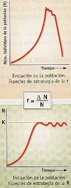 Figura 4-12 > Estrategias de la r y de la k