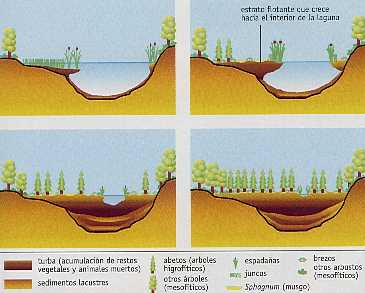 Figura 4-13 > Proceso de colmatacin de un lago