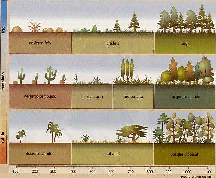 Figura 5-3 > Ecosistemas terrestres