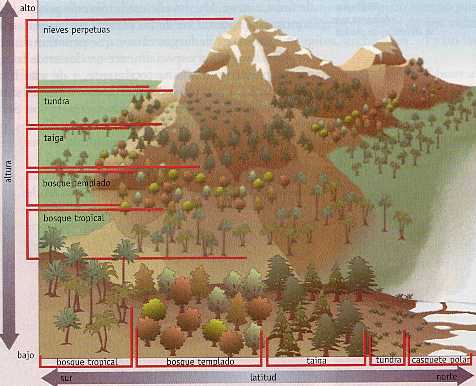 Figura 5-4 > Ecosistemas terrestres