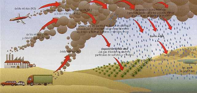 Figura 10-8 > Deposicin cida