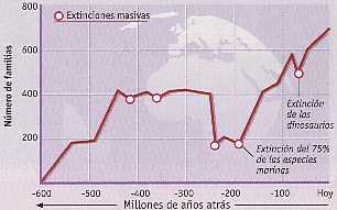 Figura 12-8 > Evolucin del nmero de familias de especies de seres vivos