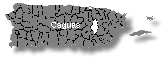 Localización de Caguas