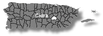 Localización de Cidra