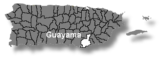 Localizacin de Guayama