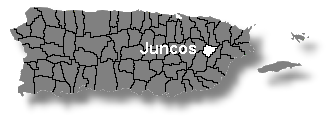 Localizacin de Juncos