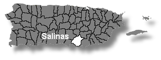 Localizacin de Salinas