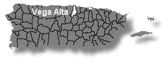 Localizacin de Vega Alta