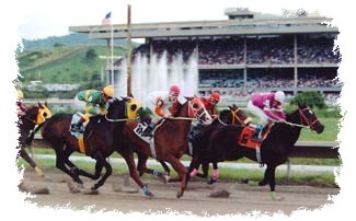 Hipdromo El Comandante