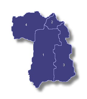 Mapa del 
Distrito Senatorial de Bayamón
