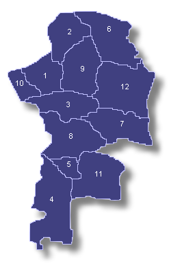 Mapa del Distrito Senatorial de Mayagüez