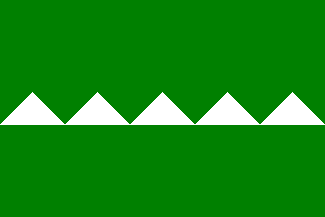 Bandera de Salinas