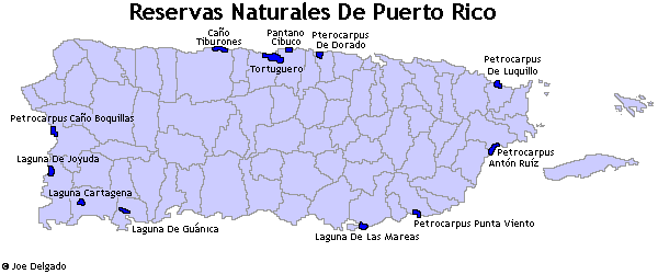 Puerto Rico'S Natural Minerals 89