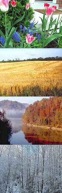 Causas y efectos de las estaciones