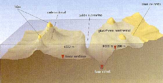 Figura 3-10 > Relieve del fondo ocenico