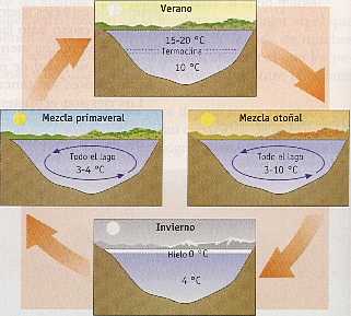 Figura 5-7 > Evolucin estacional de un lago