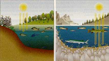 Figura 5-8 > Lagos eutrficos - Lagos oligotrficos