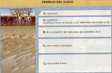 Figura 5-1 > Perfiles del suelo