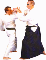 Aikido 1
