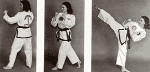 Karate 1