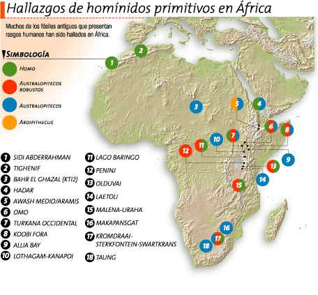 Resultado de imagen de hominidos AFRICA