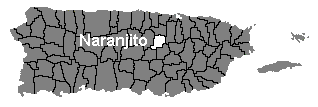 Localizaci�n de Naranjito