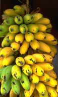Bananas, mercado de Puerto Rico.