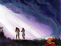 Animal skin coverings. Copyrighted.