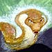 Serpent. Copyrighted.