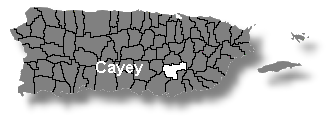 Localizacin de Cayey