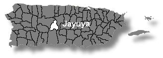 Localizacin de Jayuya