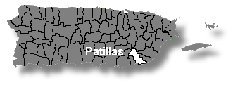 Localizaci�n de Patillas