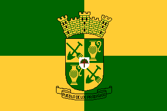 Bandera de Sabana Grande