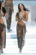 23c12.jpg (13846 bytes)