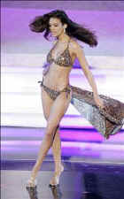 23c18.jpg (12267 bytes)