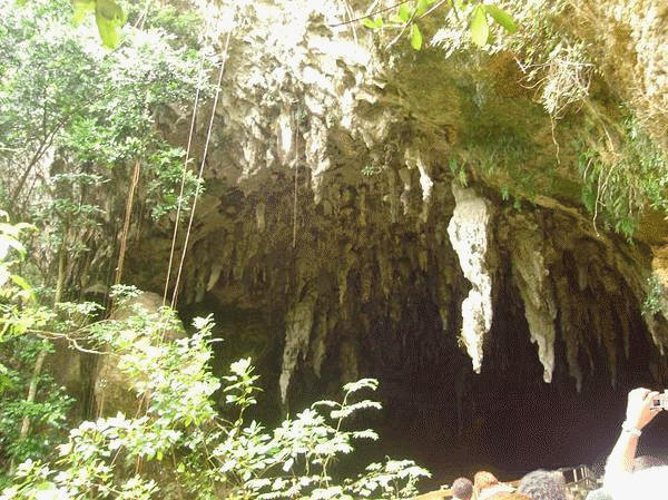 CuevasPR.jpg image by l_betances